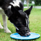 Dog Muzzle – Breathable Anti-Biting Guard