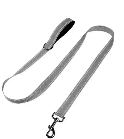 Dog Leash – Reflective Night Safety
