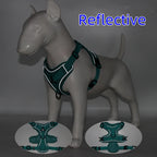 Dog Harness & Leash Set – Padded Adjustable Vest