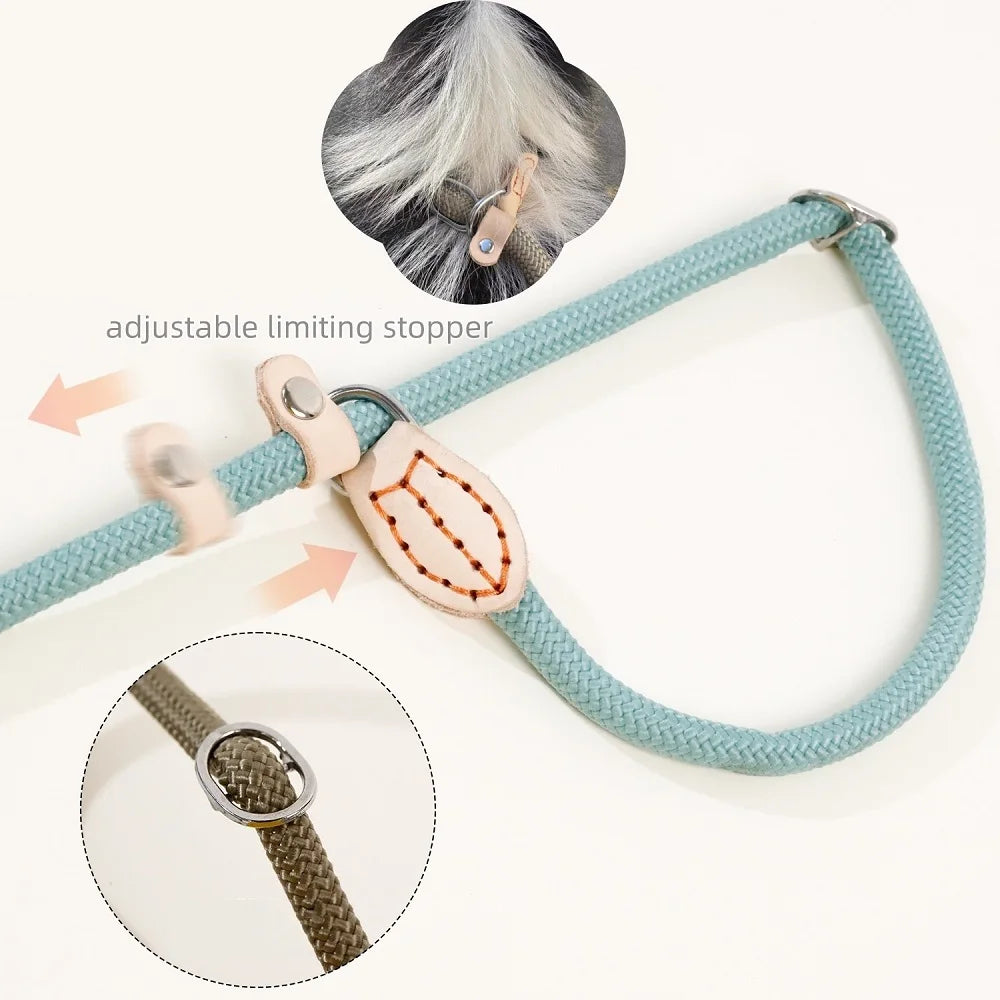 Dog Slip Leash – Braided Rope Control