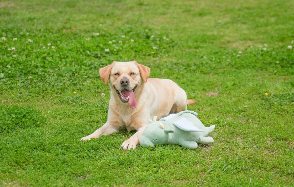 Flying Dragon Heartbeat Dog Toy – Calming Puppy Sleep Aid