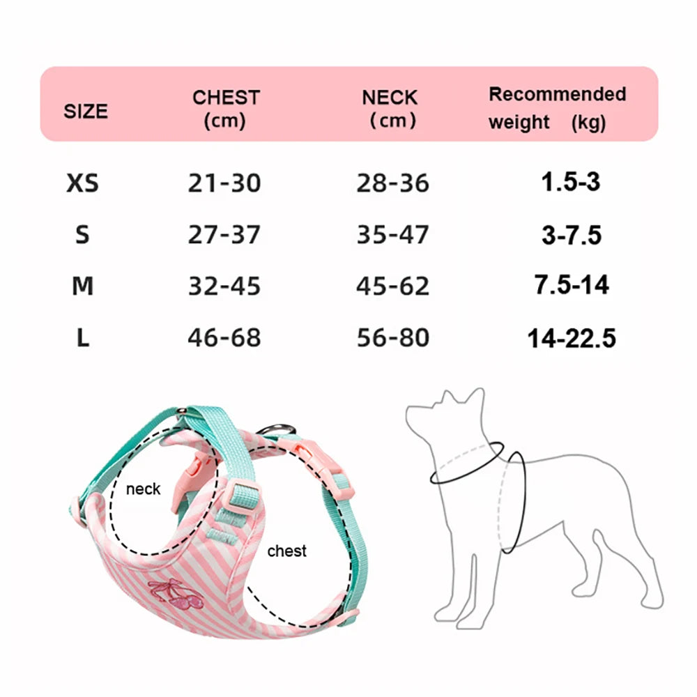 Luxury Dog Harness Set – Stylish Leash & Plush Design