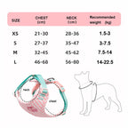 Luxury Dog Harness Set – Stylish Leash & Plush Design