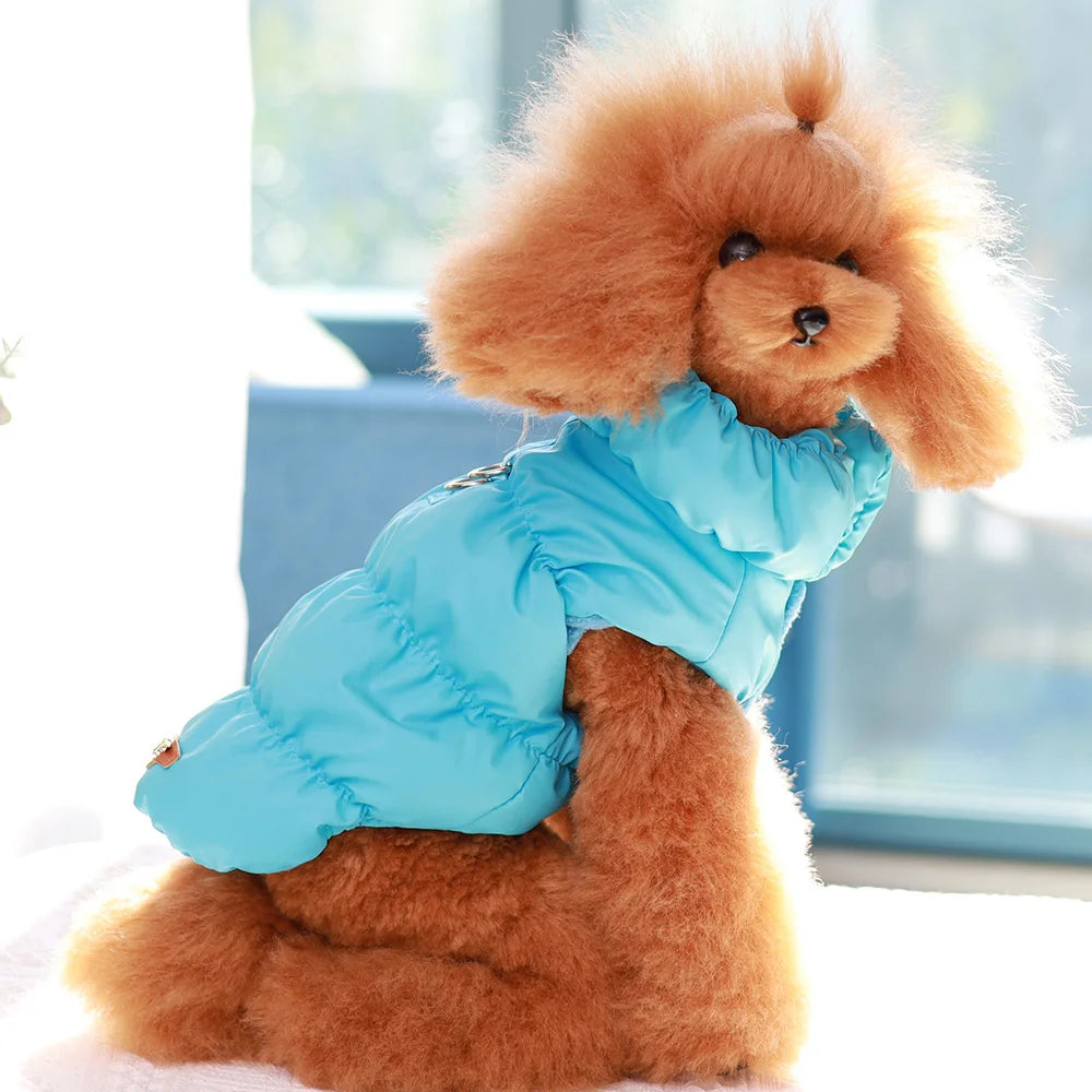 Didog Winter Padded Dog Coat – Windproof Warm Jacket for Small & Medium Dogs