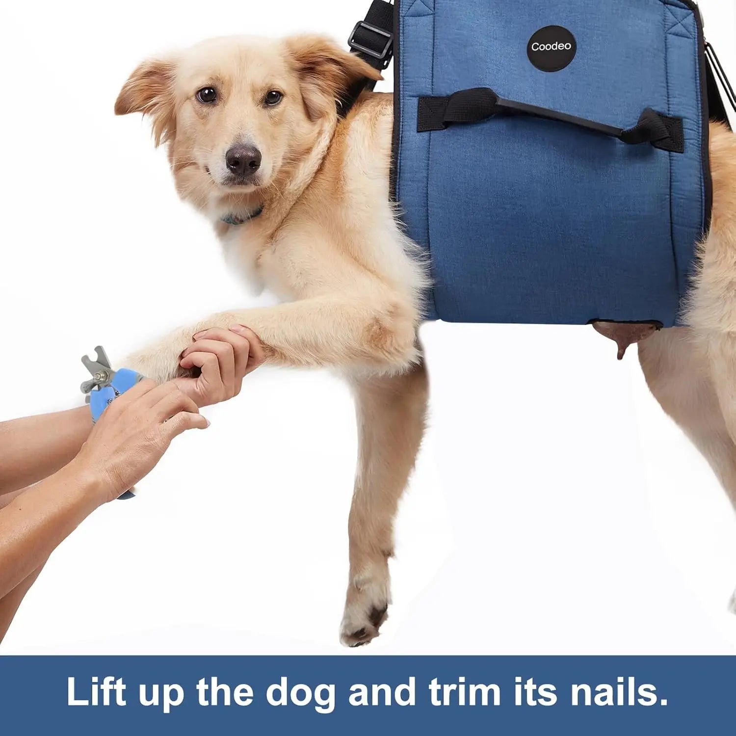 Dog Lift Harness – Support Sling for Mobility Aid