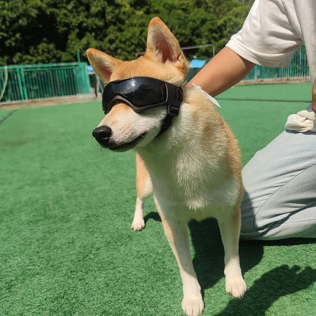 Ouliluye Dog UV Sunglasses – Adjustable Protective Goggles