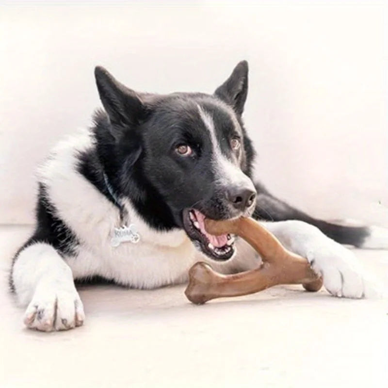 Nylon Bone Chew Toy for Medium & Large Dogs