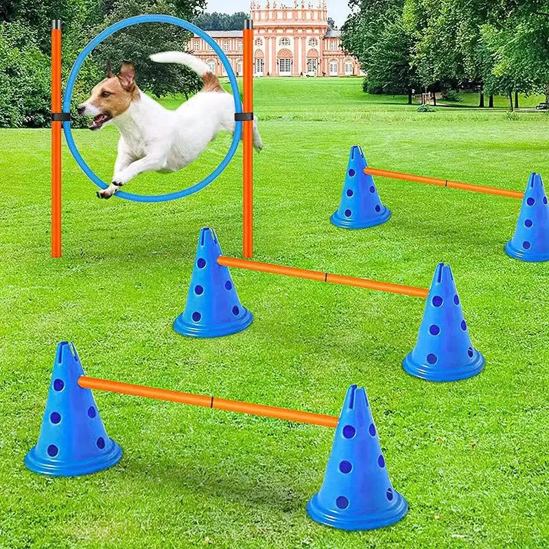 Dog Agility Training Set – Jumping Bar & Obstacle Course Kit