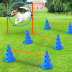 Dog Agility Training Set – Jumping Bar & Obstacle Course Kit