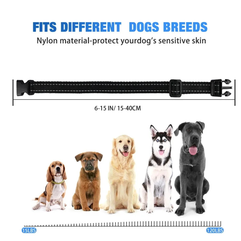 Humane Anti-Barking Dog Collar – Rechargeable & Automatic Vibration Training