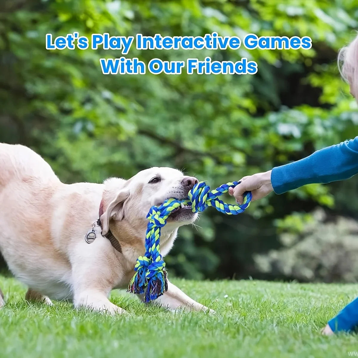 Dog Rope Toy – Dental Tug for Medium & Large Dogs