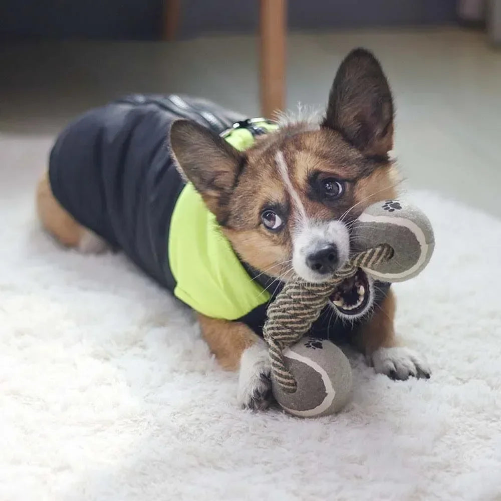 Cotton Rope Tennis Dumbbell Dog Toy