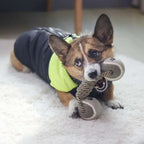Cotton Rope Tennis Dumbbell Dog Toy