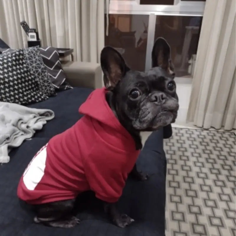 Winter Warm Dog Hoodie – Large Breed Polyester Jacket