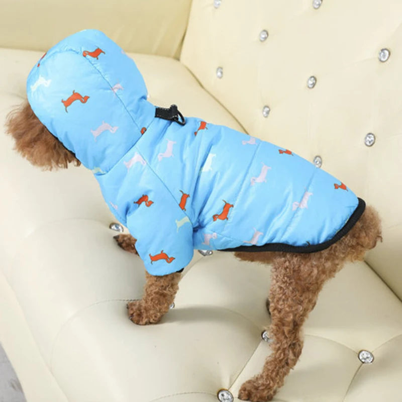 Dog Hooded Down Jacket – Winter Coat with Leash Ring