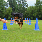 Dog Agility Training Set – Jumping Bar & Obstacle Course Kit