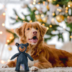 Mighty Bear Dog Toy – Durable for Heavy Chewers