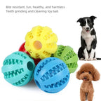 Rubber Chew Ball - Dental Care & Treat Dispensing for Dogs