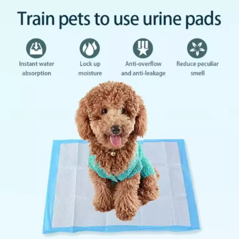 Dog Pee Pads – Super Absorbent Leakproof Training Pads