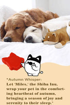 Soft Coral Fleece Dog Blanket 60x40cm – Cozy Washable Winter Throw
