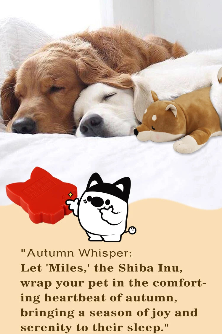 Soft Coral Fleece Dog Blanket 60x40cm – Cozy Washable Winter Throw
