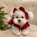 Winter Corduroy Dog Dress Set – Red Bow Outfit XS-XXL