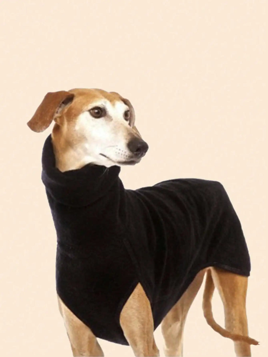 Greyhound Winter Onesie Coat – Turtleneck Warm Dog Pajamas