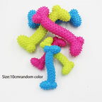 Indestructible Dog Toy for Small Dogs – Dental Chew, Non-Toxic Rubber