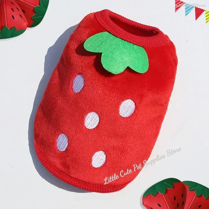 Moonbiffy Winter Dog Jacket – Flannel Puffer for Small Dogs