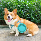 Collapsible Silicone Dog Travel Bowl – 350ml & 600ml Portable Feeder