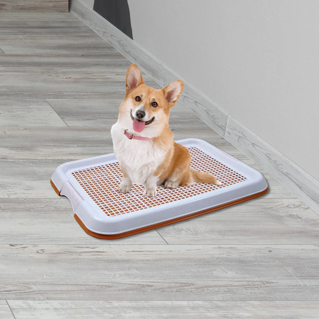 Dog Potty Tray – Anti-Slip Training Toilet