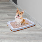 Dog Potty Tray – Anti-Slip Training Toilet