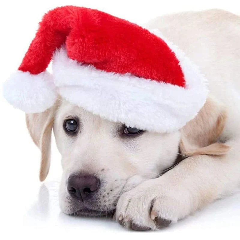 Dog Santa Hat – Small to Medium | Christmas Party Accessory | Red