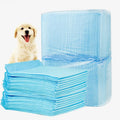 Dog Pee Pads – Super Absorbent Leakproof Training Pads