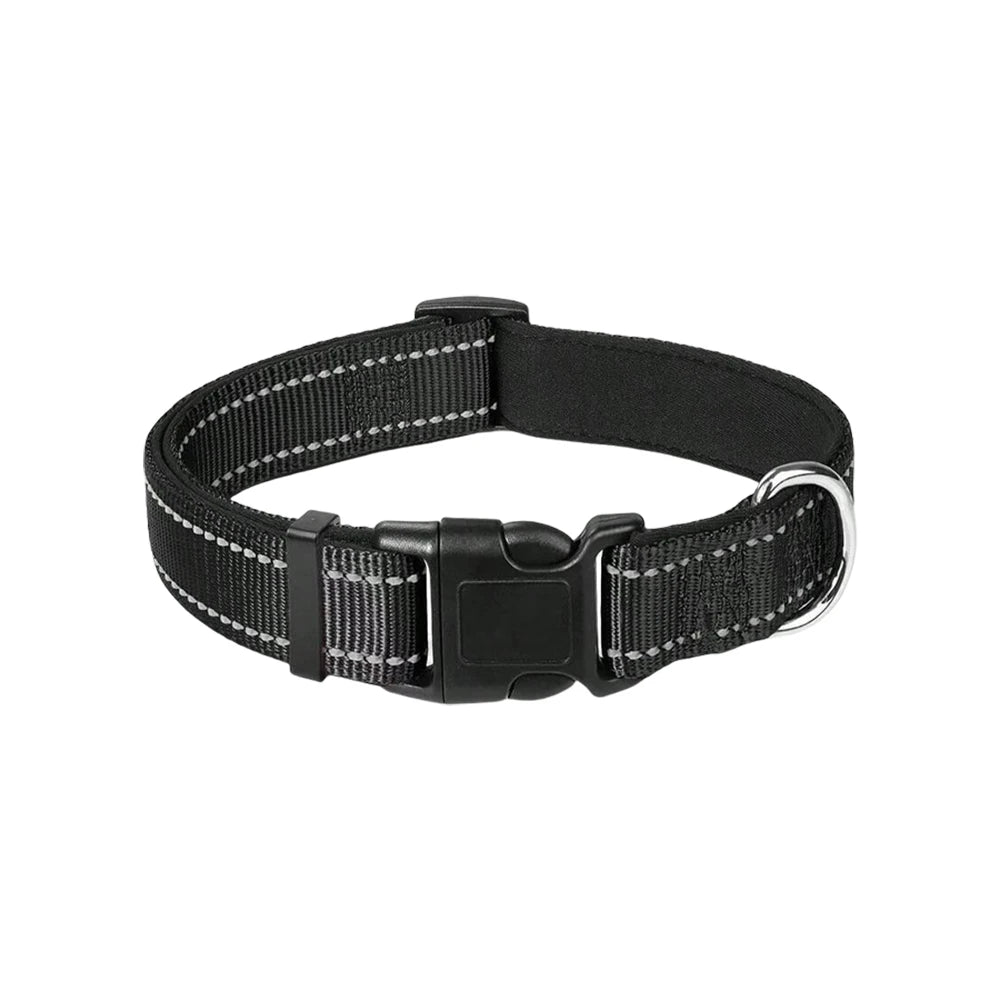 Reflective Dog Collar – Soft Padded Adjustable Night Safety