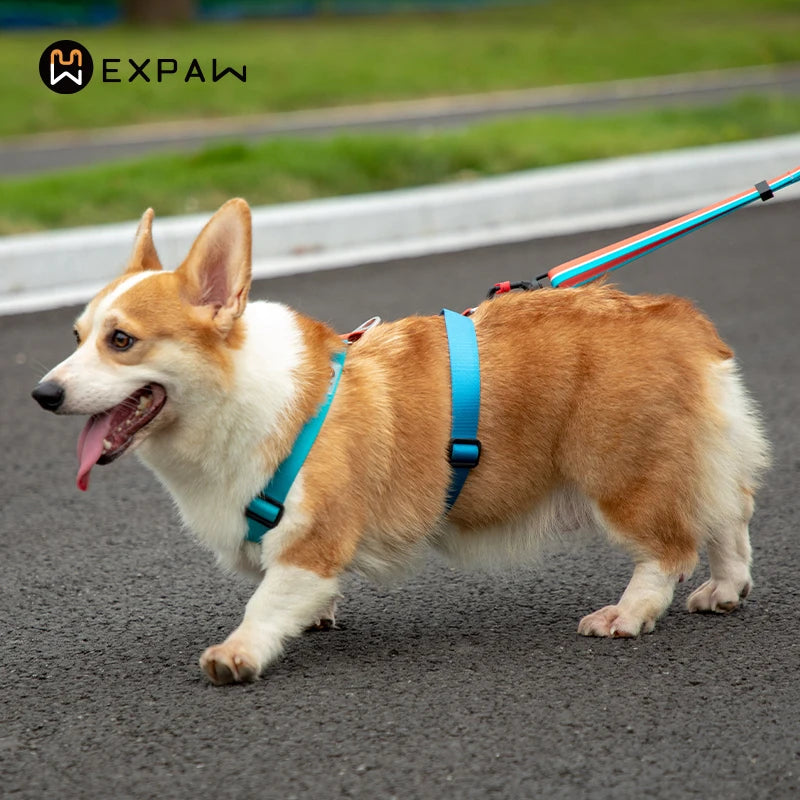 No Pull Dog Harness – Adjustable Nylon Chest Vest