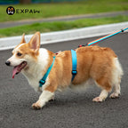 No Pull Dog Harness – Adjustable Nylon Chest Vest