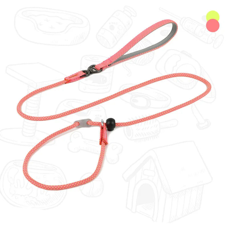 Dog Slip Leash – 2-in-1 Training Control