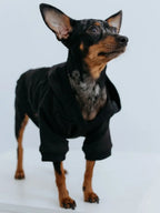 Winter Cotton Dog Jacket – Windproof Color Block Coat for Small Dogs
