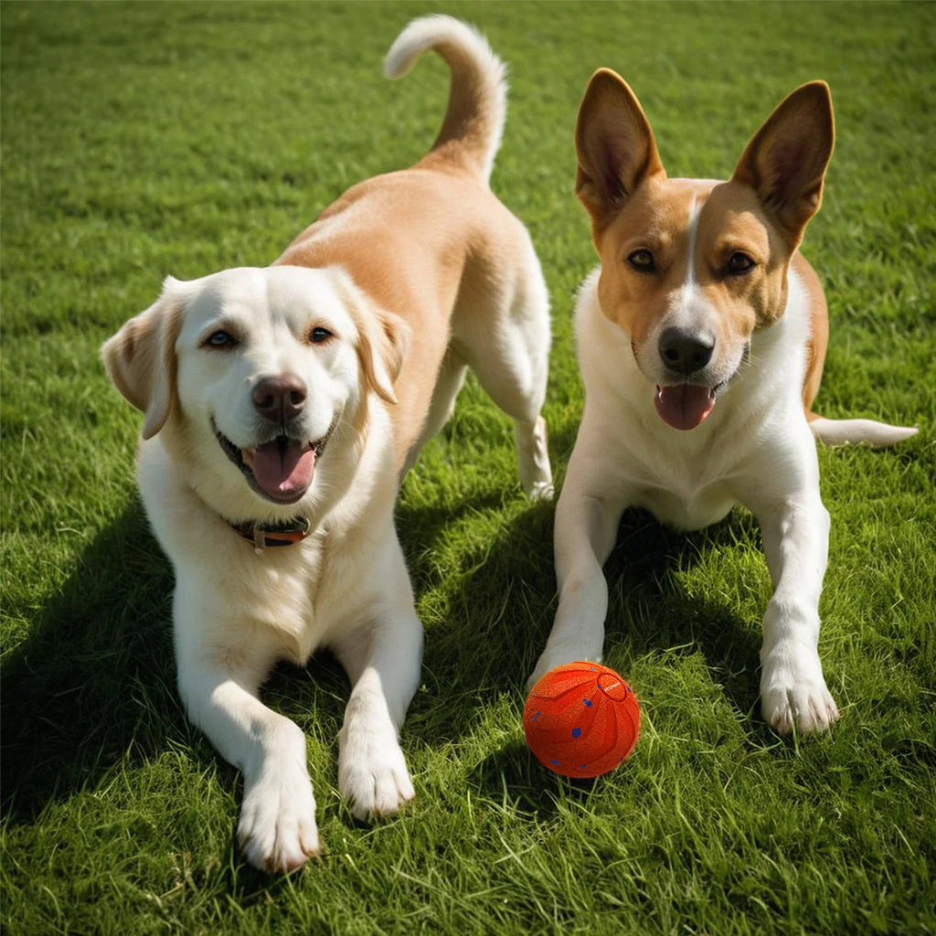 Interactive E-TPU Dog Ball – Random Bouncing Toy