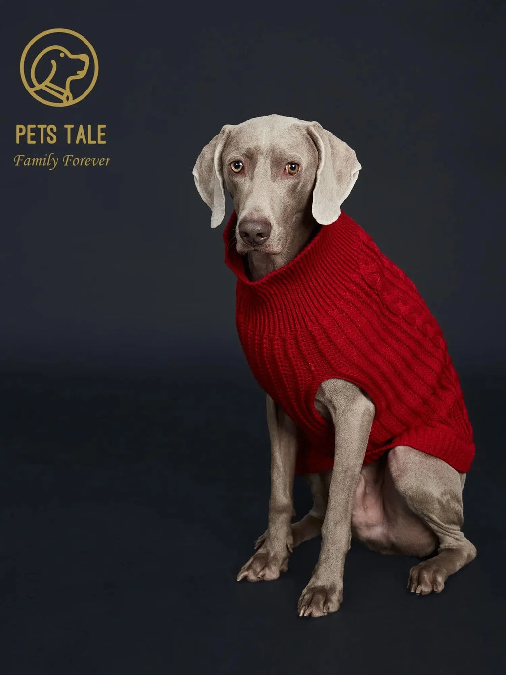 Cozy Knitted Dog Sweater – Soft Acrylic Winter Pet Pullover