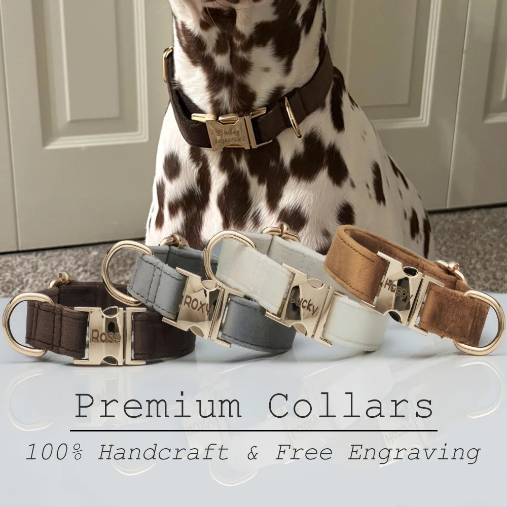 Personalized Dog Collar – Velvet Engraved Name Collar