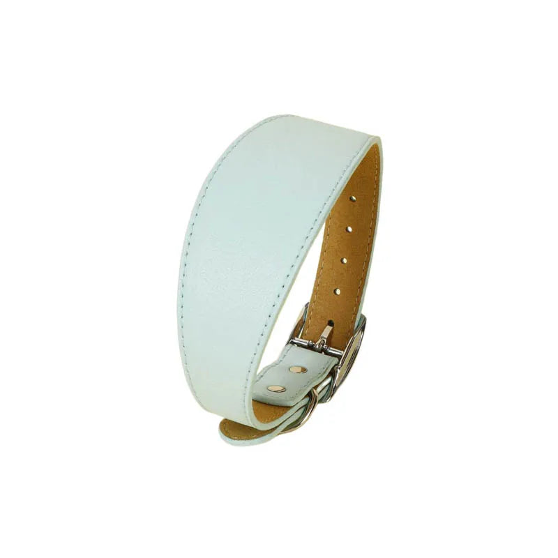 Wide Leather Dog Collar for Greyhounds – Durable Buckle Long-Neck Fit