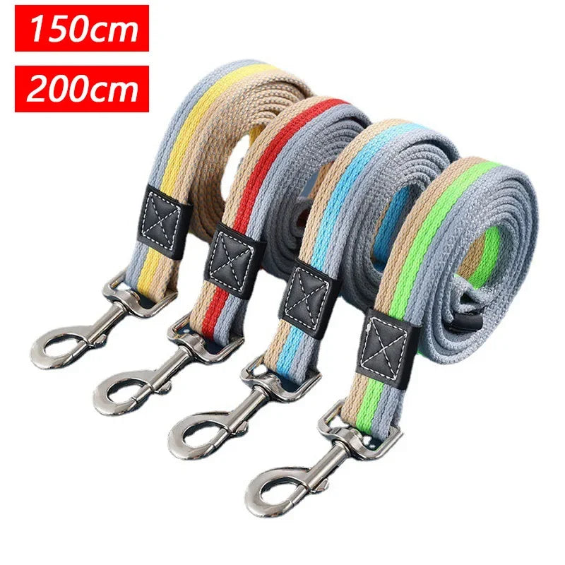 Dog Training Leash – 2M Non-Slip Control Lead