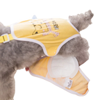 Dog Sanitary Pads – Disposable Female Diaper Inserts