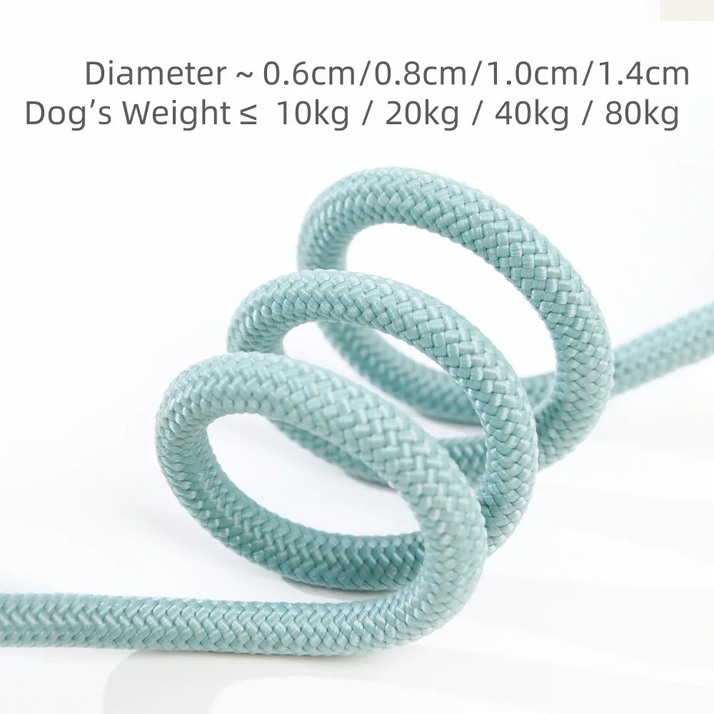 Dog Slip Leash – Braided Rope Control