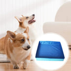 Dog Pool PVC Folding Swimming Pool – Non-Inflatable Paddling Bath Tub for Puppies & Small Dogs