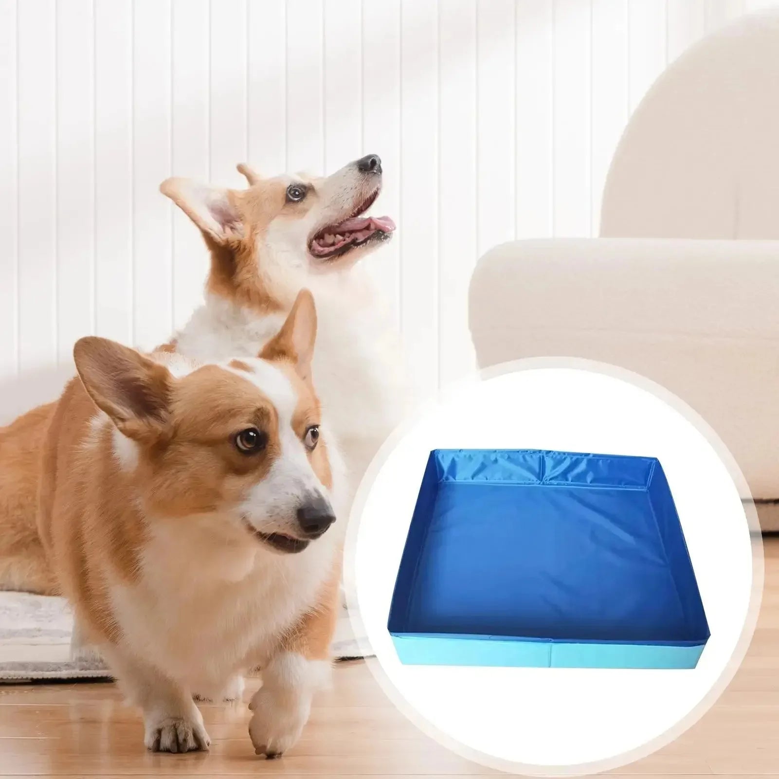 Dog Pool PVC Folding Swimming Pool – Non-Inflatable Paddling Bath Tub for Puppies & Small Dogs