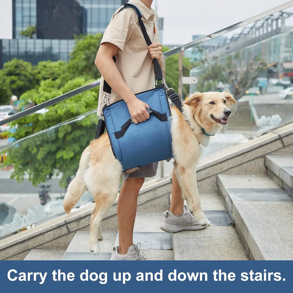 Dog Lift Harness – Support Sling for Mobility Aid