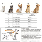 Female Dog Diapers – Reusable Waterproof Washable Pants